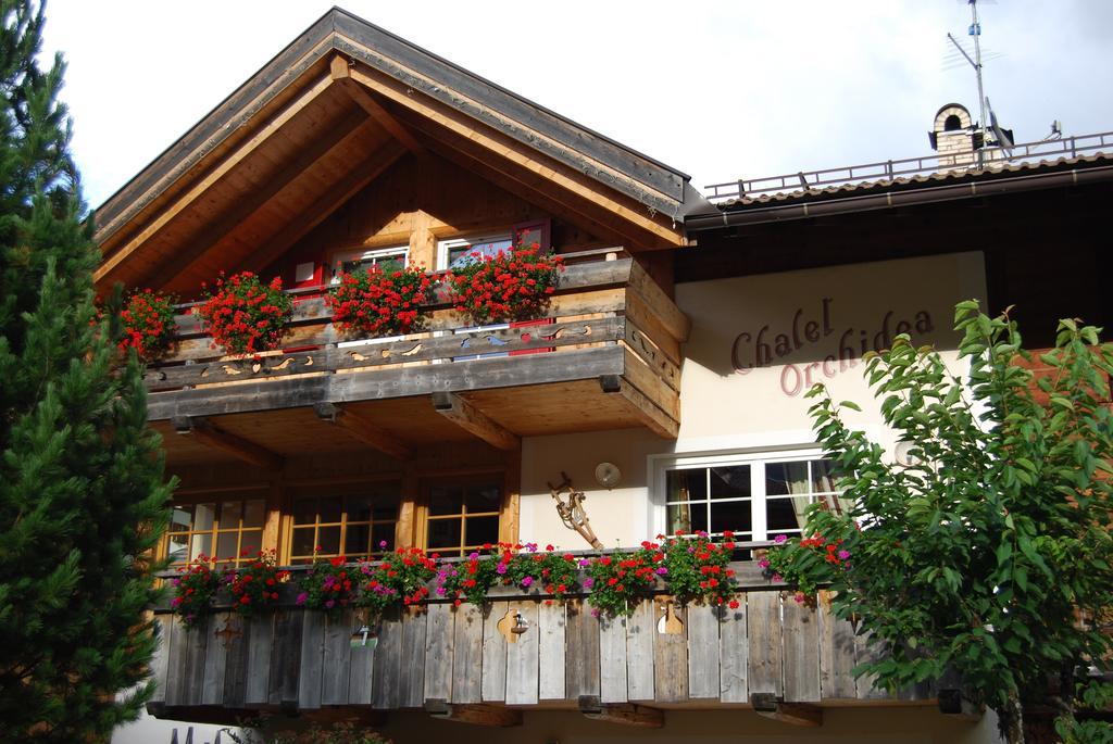 Appartamenti Chalet Orchidea 卡纳泽伊 外观 照片