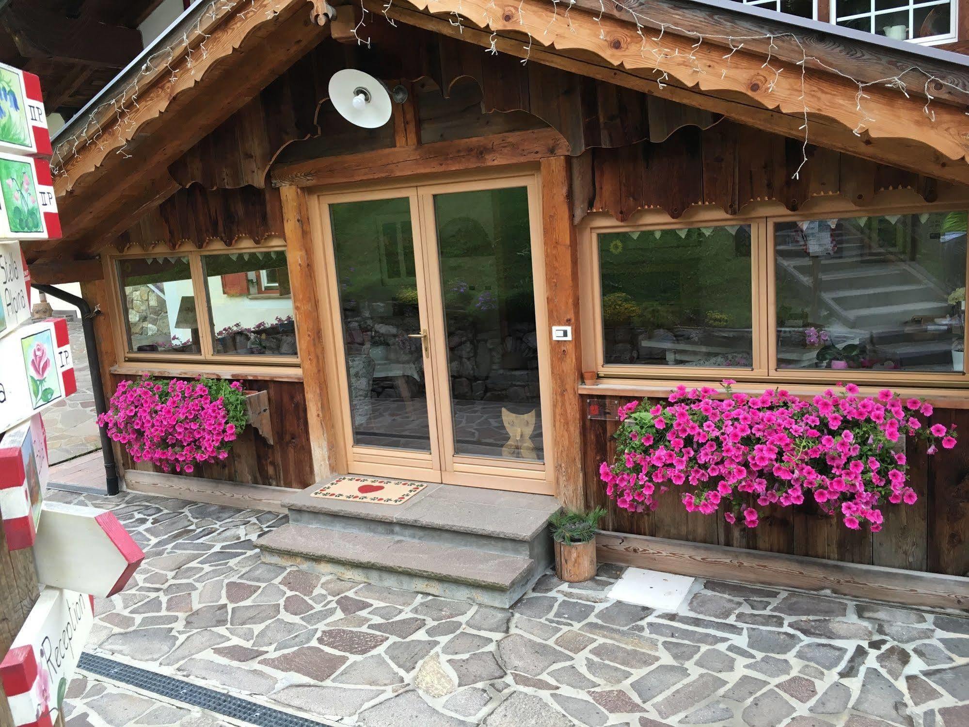 Appartamenti Chalet Orchidea 卡纳泽伊 外观 照片