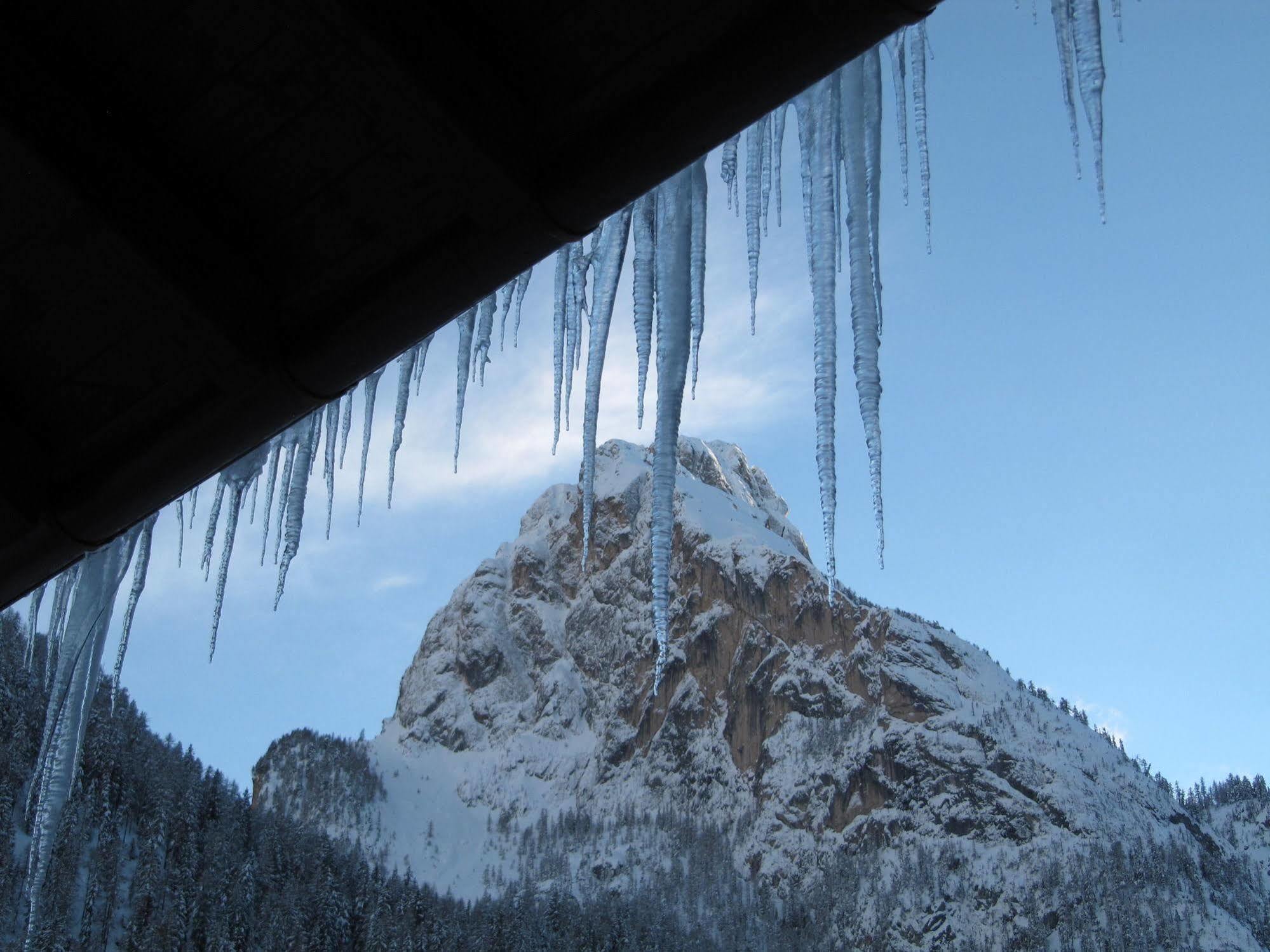 Appartamenti Chalet Orchidea 卡纳泽伊 外观 照片