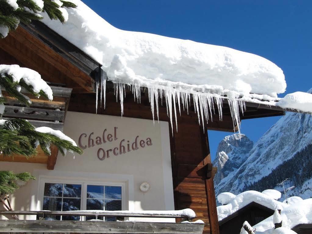 Appartamenti Chalet Orchidea 卡纳泽伊 外观 照片